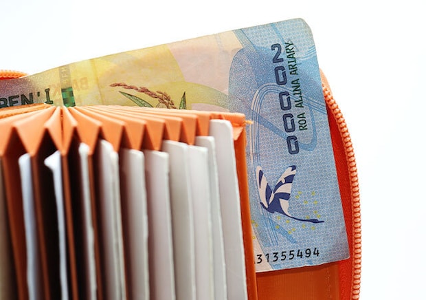 THE SCAPE OF GREEN やみつきサイフオレンジお札を折らずに入れられる