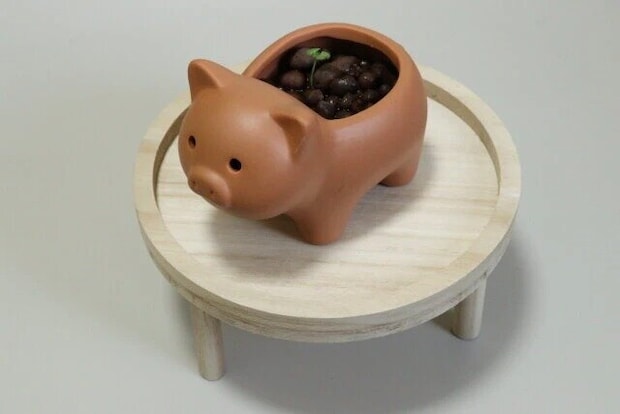 ダイソー　インテリア簡易ラック