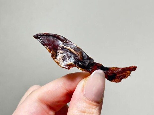 伍魚福の珍極 ほたるいか姿干し ダイソー 伍魚福の珍極 ほたるいか姿干し ダイソー 炙り