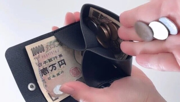 ダイソー　レザー調マルチウォレットケース（キーリング付、ベーシック）　