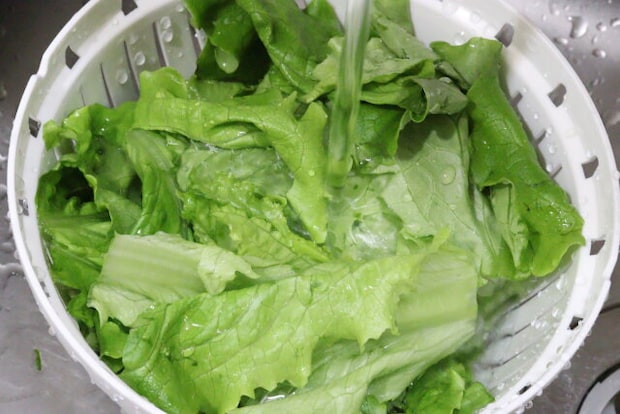 保存できる蓋付ザルボウル　野菜の洗浄