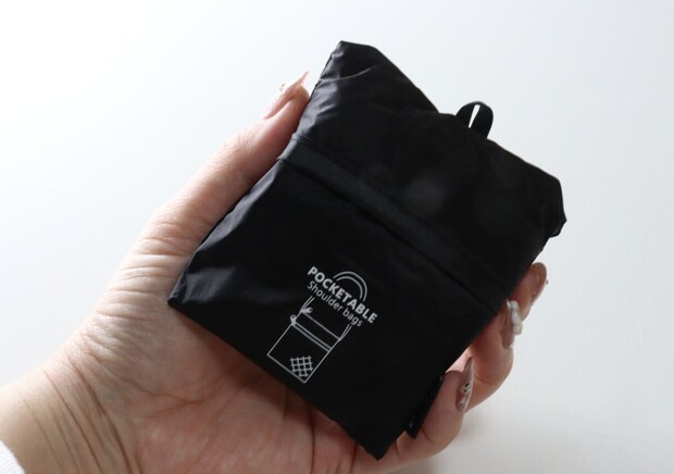 ダイソーマニアガチ推し！「200円なら即買いでしょ」キャリーケースに入れておきたい名品