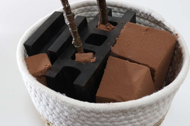 観葉植物　固定　やり方