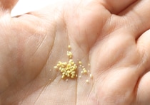 Amazonで★4.2の高評価♡知る人ぞ知る新感覚の100均調味料