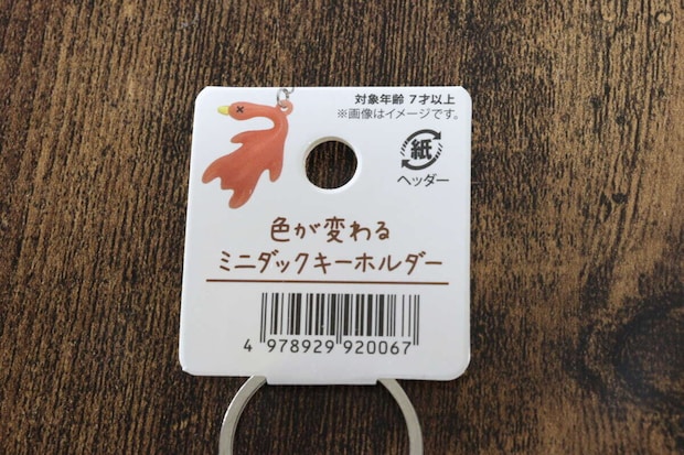 セリア　キーホルダー　JAＮ　ミニダック
