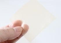 セリアのこれなんだと思う？ココナッツのいい香り…だけど食べちゃダメ！アレを守るシート