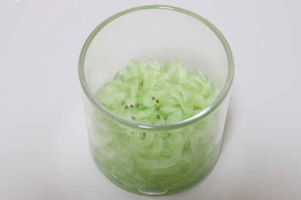 円柱ガラス鉢　水耕栽培