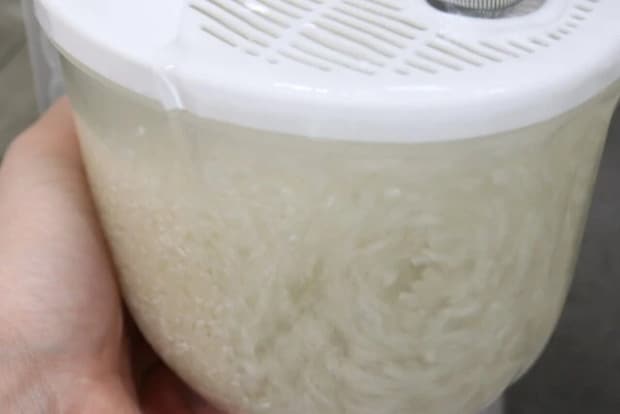 ダイソー ぐるぐる舞米 ダイソー ぐるぐる舞米