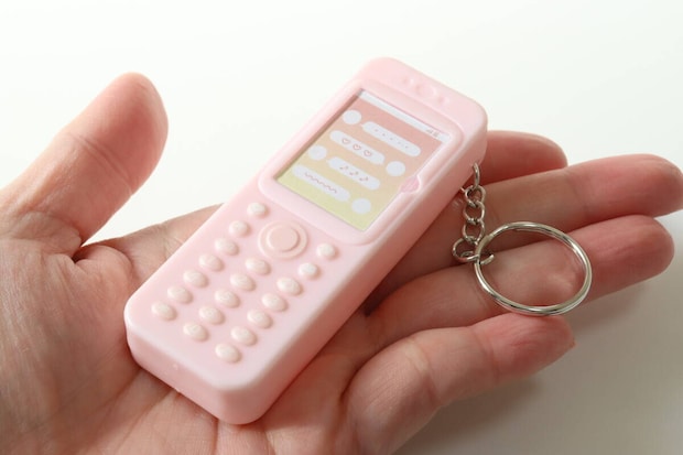 ダイソー キーホルダー(携帯) ダイソー キーホルダー(携帯)