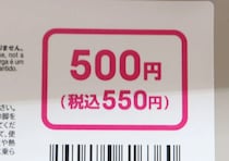 耐荷重120㎏も？！プチプラとは思えないほどタフな100均便利グッズ