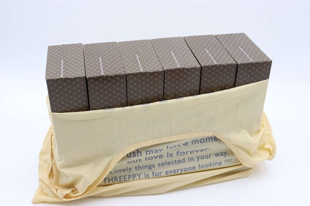 チャーム付エコバッグ(ボストン風、RD) サイズ感 チャーム付エコバッグ(ボストン風、RD) サイズ感