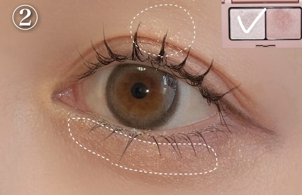 左のカラーを涙袋と上まぶたの中心に塗る