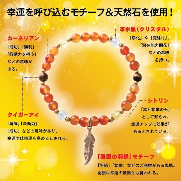 金運師たかみー監修 金運上昇ブレスレットBOOK