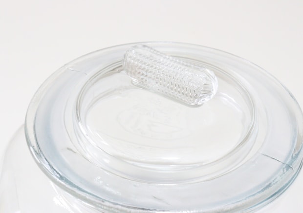 100均で見た瞬間思わず買うしかなかった！超特大ガラスジャー