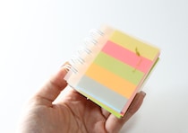 「見た目も保管しやすさもバッチリ！」「これならグシャっとしない」100均文房具