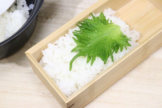 竹製弁当箱　ごはん