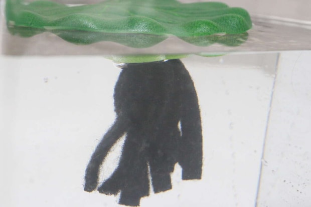 ダイソーの水槽用 浮草は産卵床付きで魚の日よけに最適