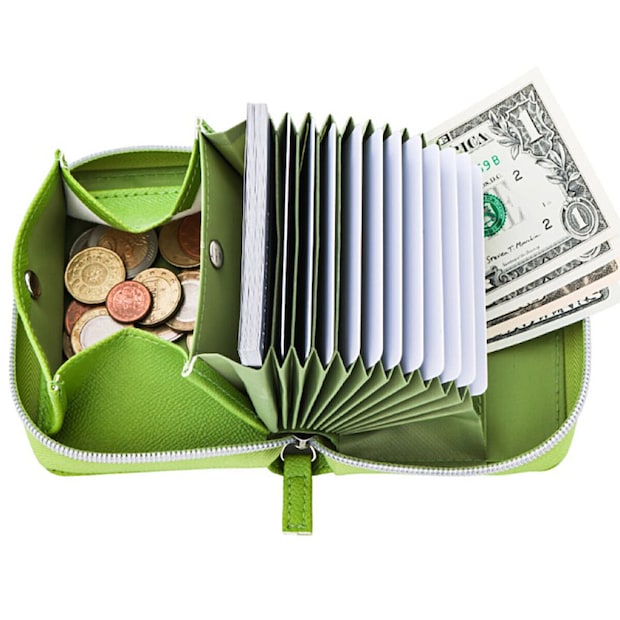 THE SCAPE OF GREEN やみつきサイフオープン時