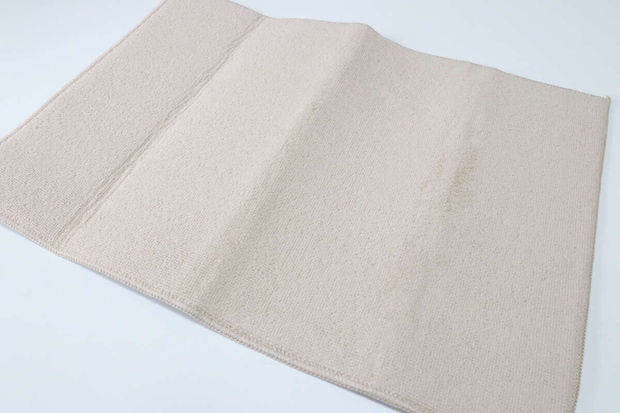 ダイソー 洗えるパイルマット(吸水) ダイソーの洗えるパイルマット(吸水)のビジュアル