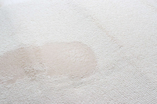 ダイソーの吸水性が良い洗えるパイルマット（吸水）