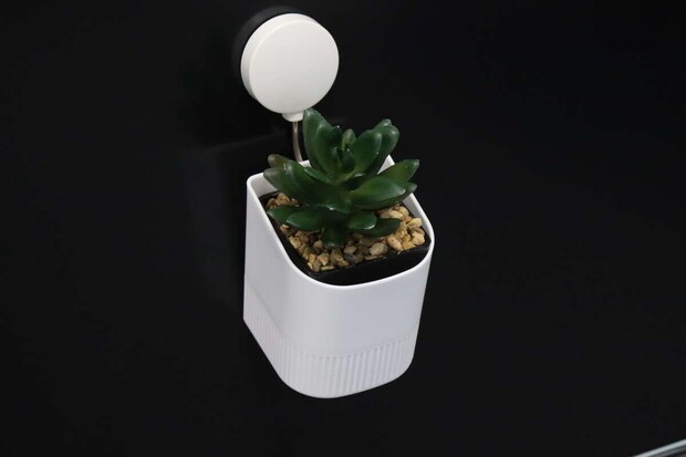 ダイソーの壁掛けプチポットにフェイクグリーンを入れる