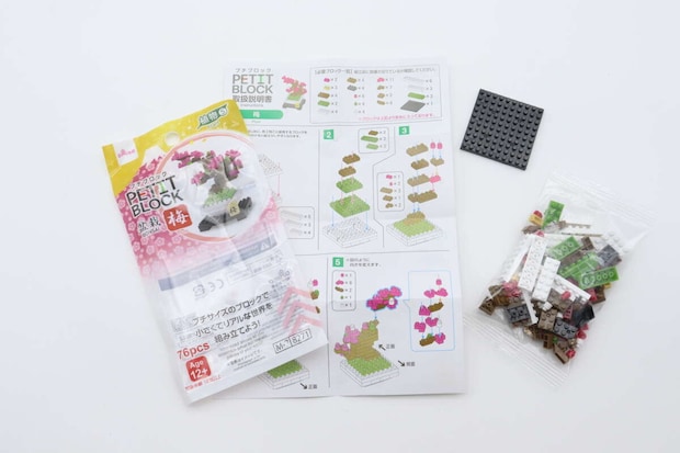 ダイソー プチブロック(梅) ダイソーのプチブロック(梅)の内容