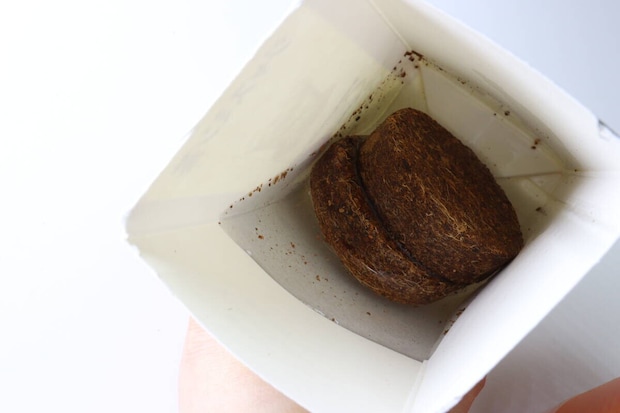 栽培セット まんまるにんじん　圧縮土