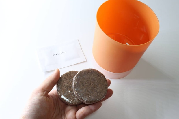 栽培セット まんまるにんじん