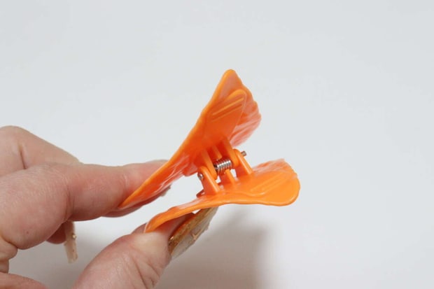 スナッククリップ（2種）　摘まみやすい