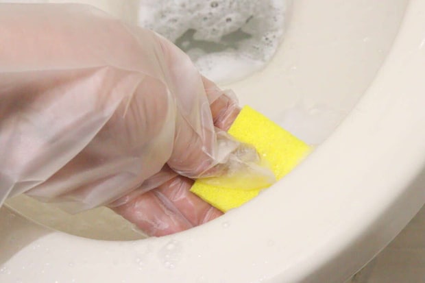 無印良品 調理用手にフィットする手袋 L 無印良品の調理用手にフィットする手袋 Lの使用例