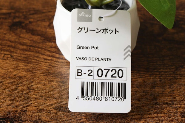 ダイソー　グリーンポット　アイビー