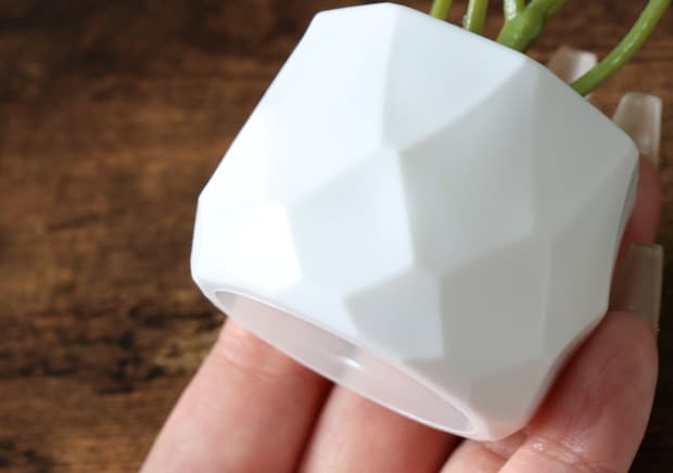 100均にいいのあるじゃん！重さ考えずに飾れるってありがたや…部屋が見違えるインテリア