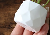 100均にいいのあるじゃん！重さ考えずに飾れるってありがたや…部屋が見違えるインテリア