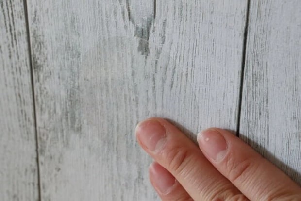 ダイソー　吸盤補助板　使用方法