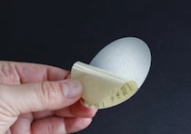 これ考えた人天才すぎる！「ペラペラなのにいい仕事する！」貼るだけで快適な100均シール