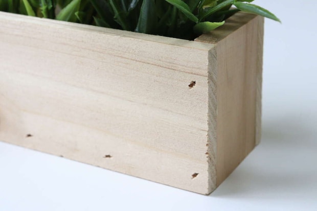 ダイソーの木製グリーンポットの土台はスギ製