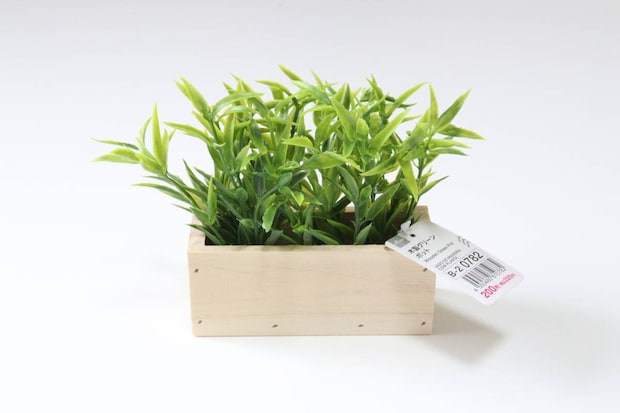 ダイソーの木製グリーンポット