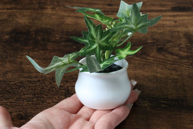 ダイソー　グリーンポット　計量