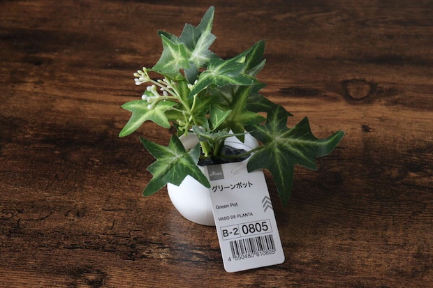 ダイソー　グリーンポット