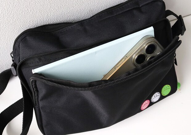 宝島社ムック付録の機動戦士ガンダム春ハロの三色ハロショルダーバッグ＆チャームBOOK4