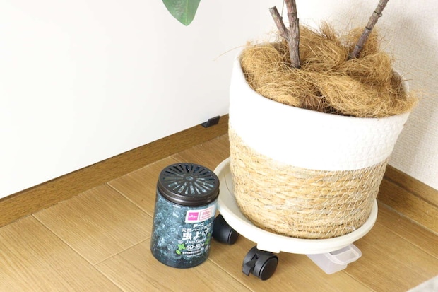 ダイソー　アース天然ハーブ配合 虫よけパール 60～80日用 ハッカの香り　使用例