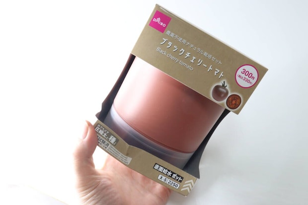 ダイソー　農薬不使用ナチュラル栽培セット ブラックチェリートマト