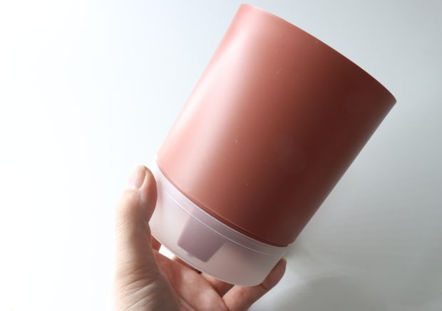 ダイソーさん300円で良いの？「スーパーでも見たことないよ…」珍しいアレを育てるキット