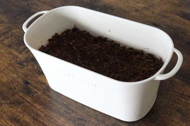 ダイソーのバスケットプランター　アイボリーの使用例