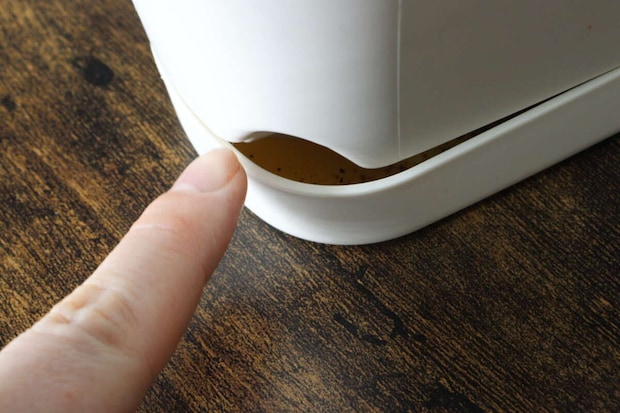 ダイソーのバスケットプランター　アイボリーののぞき窓