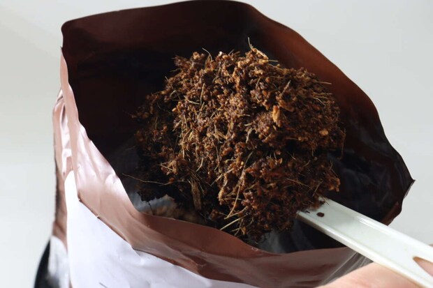 ダイソー 栽培セット コーンフラワー 土 ダイソー 栽培セット コーンフラワー 土