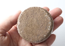 えっ食べられるの…？！気になりすぎて買うしかなかった100均の栽培キット