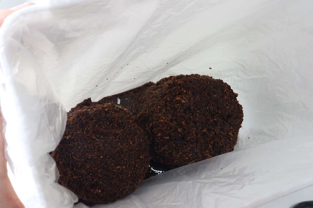 ダイソー フレッシュバジル ダイソーのフレッシュバジルの用土