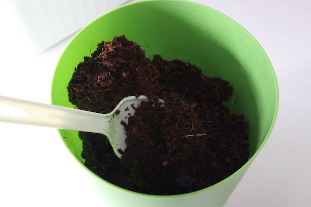 ダイソー フレッシュバジル ダイソーのフレッシュバジルの使用例