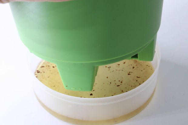 ダイソー フレッシュバジル ダイソーのフレッシュバジルの受け皿